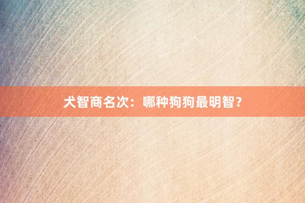 犬智商名次：哪种狗狗最明智？